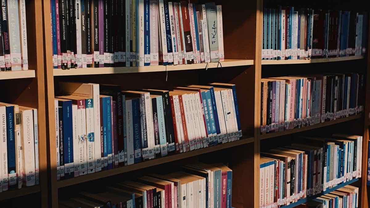 Sunlit library shelves holding a large research collection, a metaphor for the sources a research agent retrieves