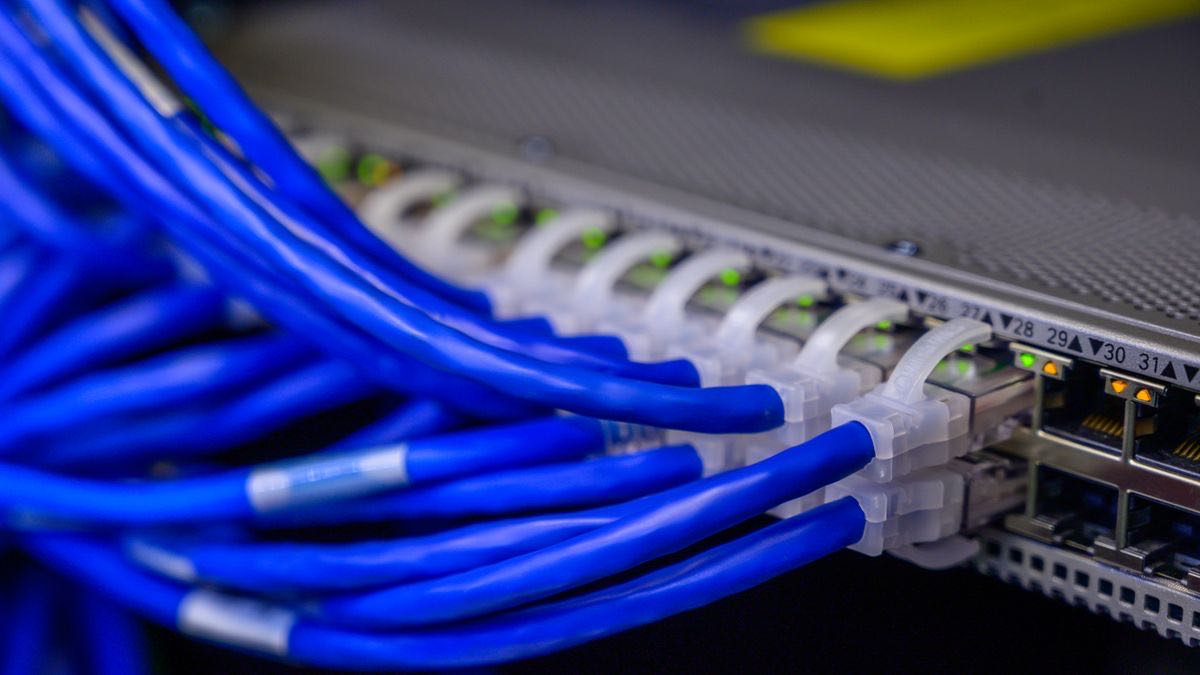 Blue network cables plugged into a switch with link lights on, illustrating live connections behind a search tool